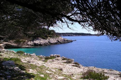  Apartments by the sea Luka Krnica (Marcana) - 7496 in Mali Vareški