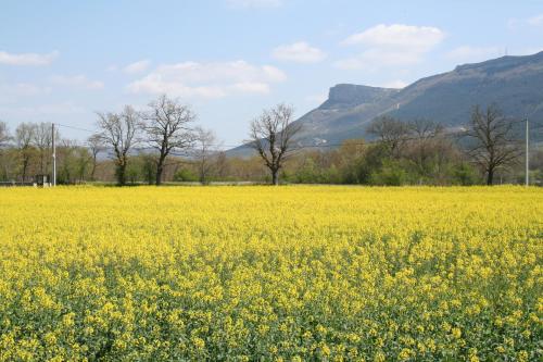 Centro de Turismo Rural La Coruja del Ebro