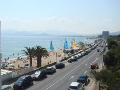 Paradis Bleu - image 8