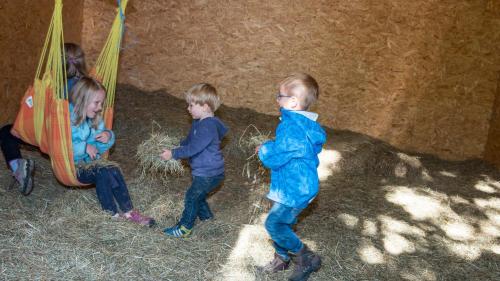 Widmannhof - Urlaub auf dem Biobauernhof