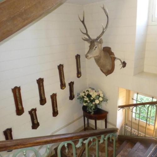 Chambres d'Hôtes de Manoir de Captot - image 5