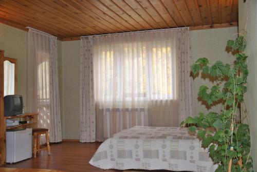 Family Hotel Shoky - image 5