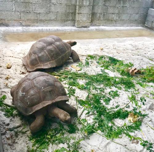 漂流者旅馆  漂流者旅馆