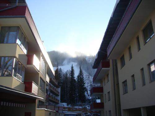 Ski-In/Ski-Out Appartements Augasse by Schladming-Appartements - image 8