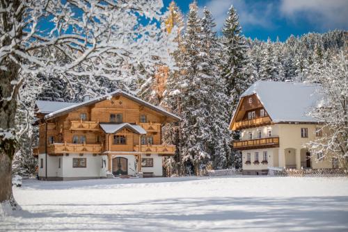 Bio-Holzhaus und Landhaus Heimat - Apartment - Ramsau am Dachstein