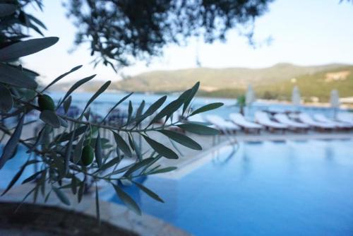 Omar Hotel & Suites - Torba