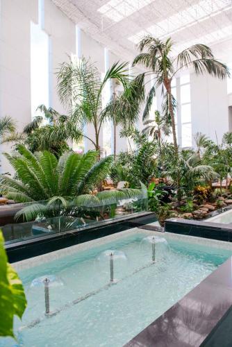 Spring Hotel Vulcano - image 10
