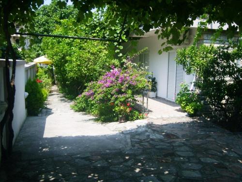 Apartments Marković - image 3