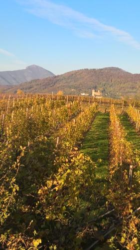 ACERO ROSSO B&B in Franciacorta