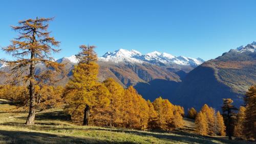 Chalet Bergmann