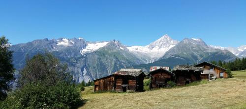 Chalet Bergmann