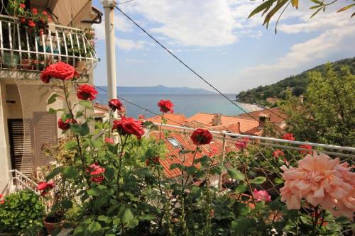 Apartments by the sea Moscenicka Draga Opatija - 7906 - main image