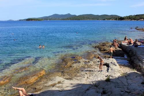  Apartment Kukljica 8260c in Kukljica