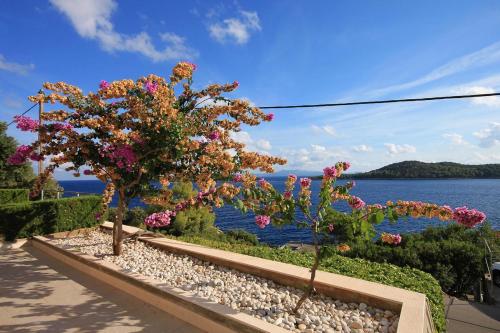Apartments by the sea Prizba Korcula - 9255 - main image