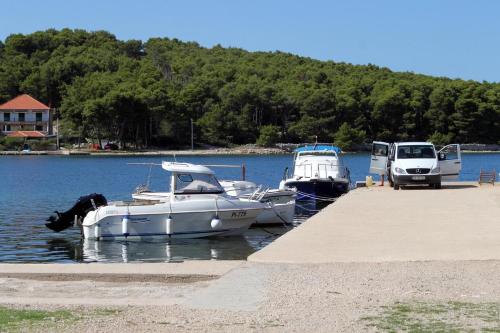 Double Room Pasman 4309e, Pašman (zdjęcie 9)