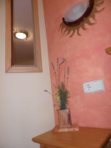 Hostal Casa Barcelo - image 5