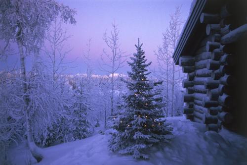 Holiday Club Ruka Cottages - image 14