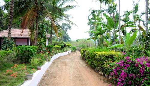 a road with palm trees and palm trees, Simply Coorg Estate Villa in Coorg