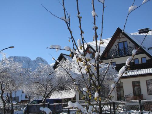 Przy Szlaku Zakopane centrum pokoje & apartamenty, Zakopane (foto 7)