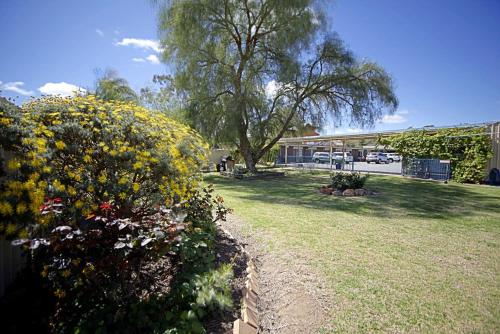 Bidgee Motor Inn Bidgee Motor Inn is a popular choice amongst travelers in Hay, whether exploring or just passing through. Both business travelers and tourists can enjoy the hotels facilities and services. All the ne