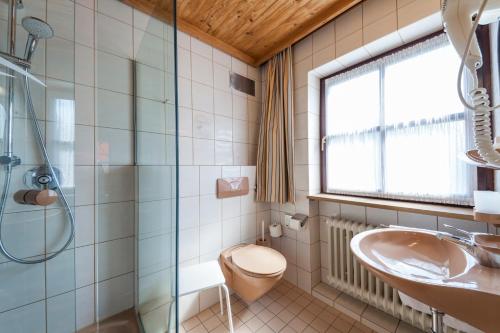 Hotel Alpina - image 9