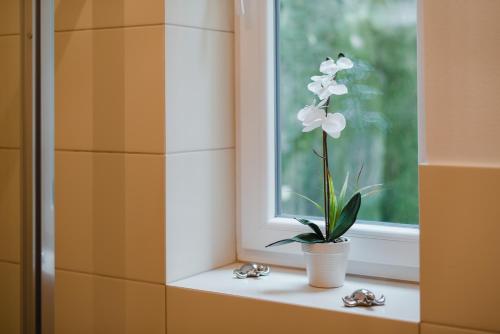 Apartman Heller