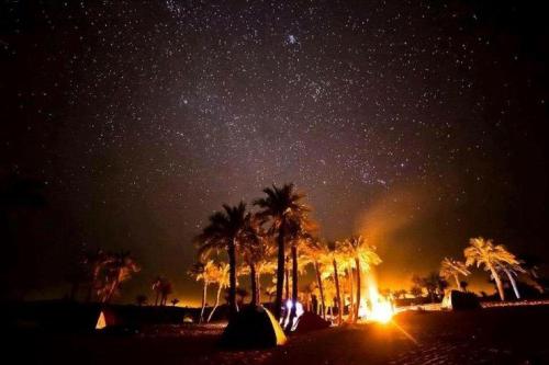 Camp Sahara Holidays