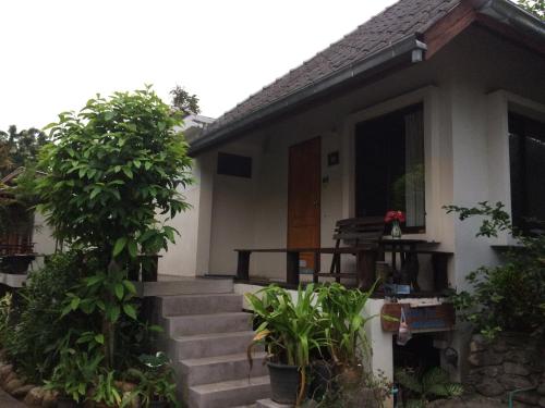 paibaansuan – Pai, ND