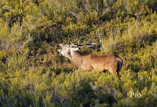 Sports un aktivitātes, Casa rural Rosita in Manzanal de Arriba