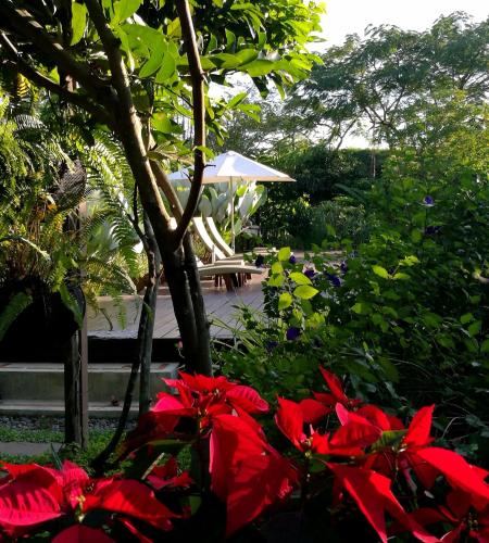 Villa Albizia – Chiang Mai, IA