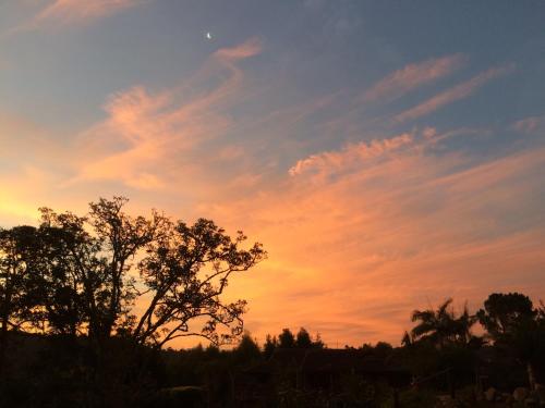 Fish Eagle Lodge – Knysna, MO
