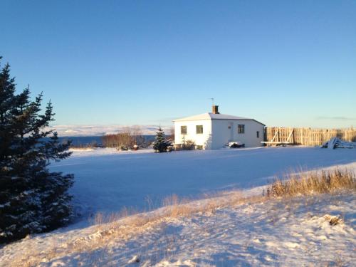 Bessastaðir Guesthouse - Apartment - Hvammstangi