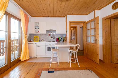 廚房, Ferienwohnung DrauSport in 德勞塔爾貝格