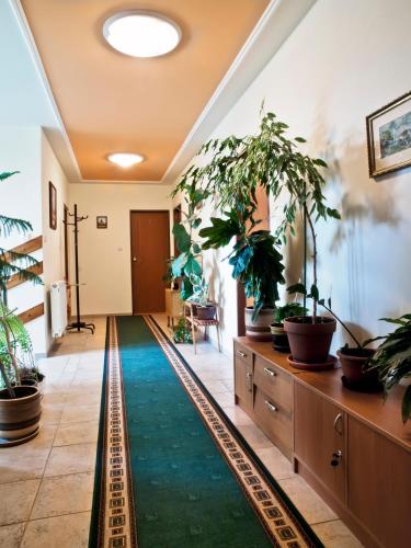 Penzion u Seliho in Kakaslomnic