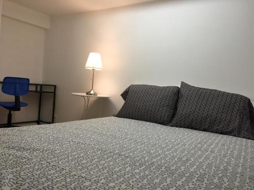 Trendy 2BR Bsmt Flat Little Portugal-Queen West