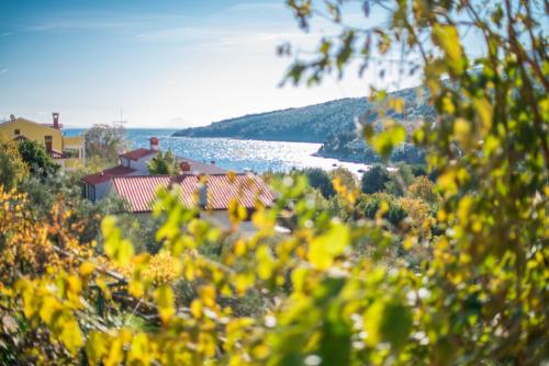 Erkély/terasz, Apartments Ida Sveta Marina in Sveta Marina