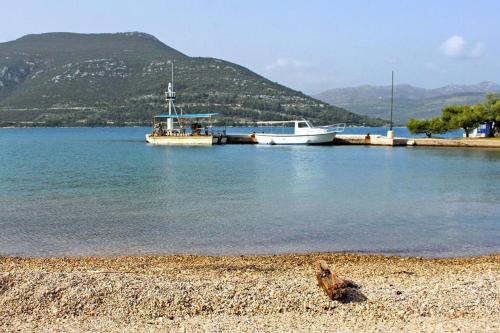 Apartments by the sea Prapratno (Peljesac) - 13500 - image 7