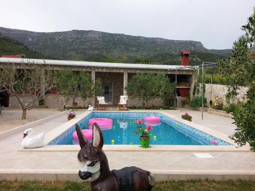 Holiday house with a swimming pool Bol Brac - 11016