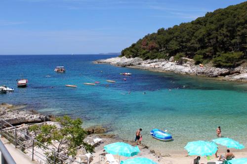 Apartments and rooms with parking space Mali Losinj (Losinj) - 2497 - image 2