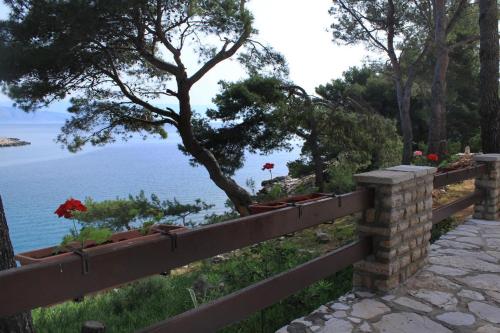 Apartments by the sea Mudri Dolac Hvar - 4026 - main image