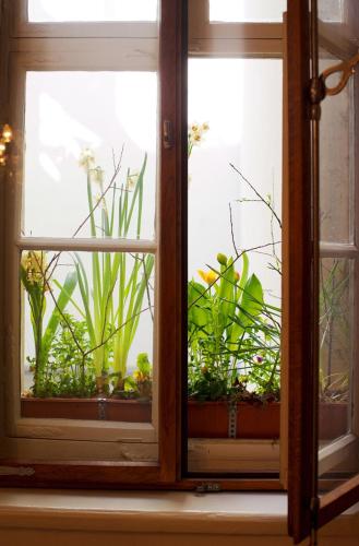 Hotel Fregehaus - image 3