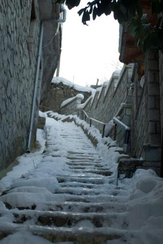 Asteri Metsovou - image 6