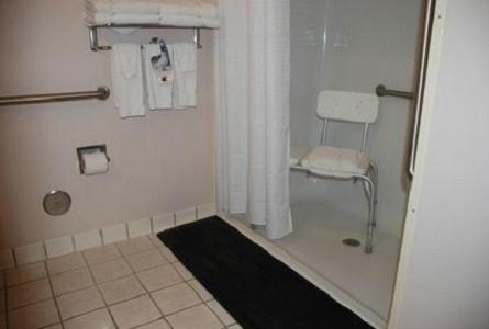 Holiday Inn Express Hotel & Suites Fenton/I-44 by IHG in Fenton, USA