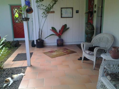 Erkély/terasz, Lava Tree Tropic Inn in Leilani Estates (HI)