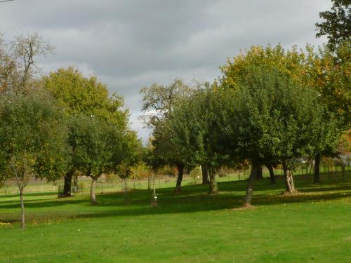 Dārzs, GITE "La Bournillière" (GITE "La Bournilliere") in Vicq-sur-Nahon
