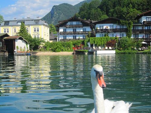 Hotel Seerose Wolfgangsee