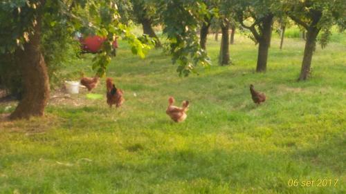 Agriturismo Taglio del Re