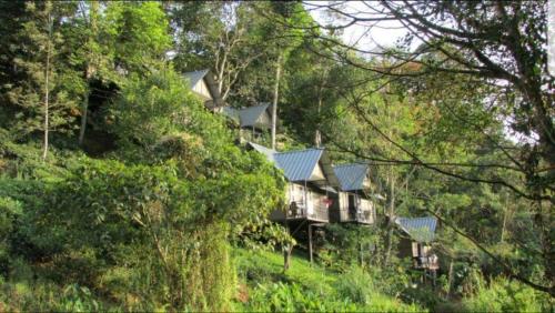 Moselberg Riverside Cottages