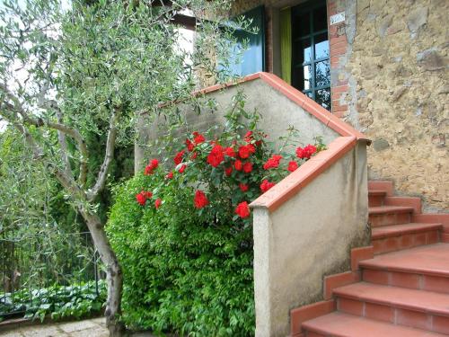 Casale Oliveta - image 5