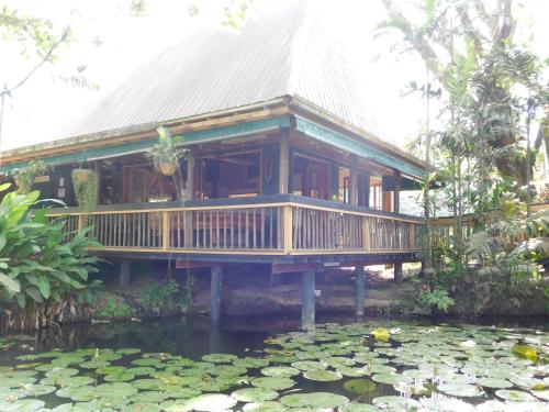 Μπαλκόνι/βεράντα, Rainforest Eco Lodge in Suva